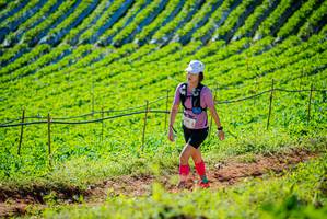 BIB: 
                            <button type="button" onclick="openModal(19161584)" class="btn btn-primary btn-sm float-right btn-popup" data-toggle="modal" data-target=".modal-high-quality">
                        <i class="fas fa-shopping-cart"></i> Add to Cart
                    </button>
                                            <button type="button" onclick="isThisMe(19161584, true)" class="btn btn-success btn-sm float-right btn-popup btn-isme hidden" data-toggle="tooltip" data-placement="bottom" title="นี่คือรูปของคุณใช่ไหม คลิกที่นี่เพื่อเอาเข้าอัลบั้ม">
                        <i class="fas fa-plus"></i> Add to album
                    </button>
                    <button type="button" onclick="isThisMe(19161584, false)" class="btn btn-warning btn-sm float-right btn-popup btn-isnotme hidden">
                        <i class="fas fa-ban"></i> Remove from album
                    </button>